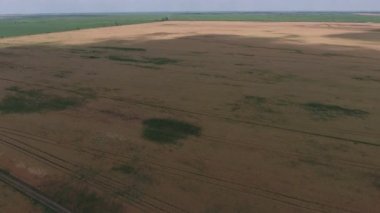Herbisit traktör olgun buğday alanı üzerinde ekleme. Yukarıdan görüntülemek.