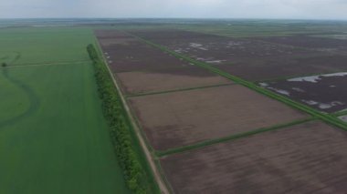 Pirinç tarlaları su basmış. Sular altında pirinç paddies. Alanları pirinç büyüyen Agronomik yöntemleri.