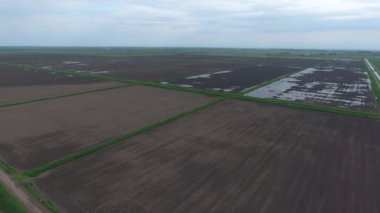 Pirinç tarlaları su basmış. Sular altında pirinç paddies. Alanları pirinç büyüyen Agronomik yöntemleri.