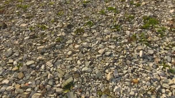 Puin op de grond, textuur achtergrond van puin — Stockvideo