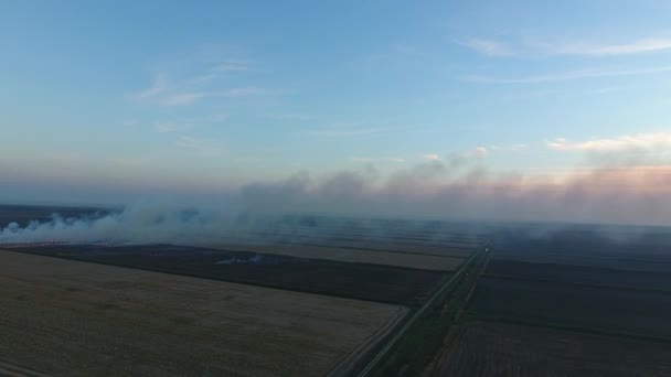Сжигание соломы на полях после сбора урожая пшеницы — стоковое видео