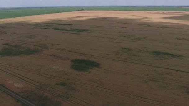 Ajout d'un tracteur herbicide sur le champ de blé mûr. Vue d'en haut .