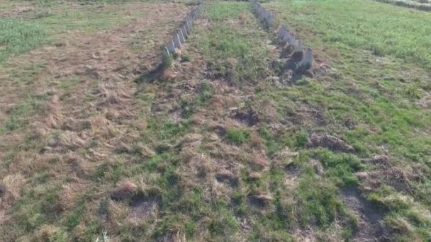 The ruins of the old farm. Cones column base of the wall. Abandoned and ruined buildings — Stock Video