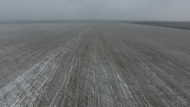 Вид сверху на вспаханное поле зимой. Поле пшеницы в снегу — стоковое видео