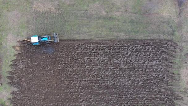 Trekker ploegen van de tuin. Ploegen van de bodem in het veld — Stockvideo