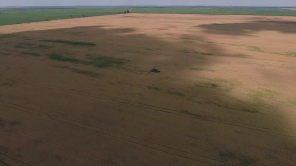 Přidání Herbicid Traktoru Poli Zralé Pšenice Pěstování Plodin Polích Pohled — Stock video