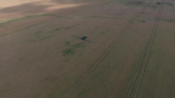 Přidání Herbicid Traktoru Poli Zralé Pšenice Pěstování Plodin Polích Pohled — Stock video