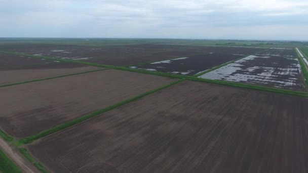 Risfälten är översvämmade med vatten. Översvämmade risfält. Agronomiska metoder för odling av ris i fälten. — Stockvideo