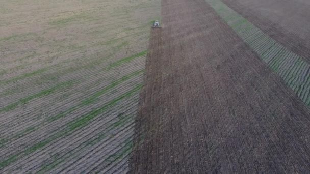 Blick von oben auf den Traktor, der das Feld pflügt. Den Boden auflockern. Bodenbearbeitung nach der Ernte — Stockvideo