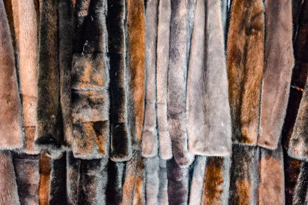 Fur coats on hangers. Fur store. fur coats in a row — Stock Photo, Image