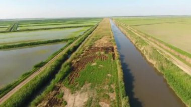 Pirinç tarlaları su basmış. Sular altında pirinç paddies. Alanları pirinç büyüyen Agronomik yöntemleri