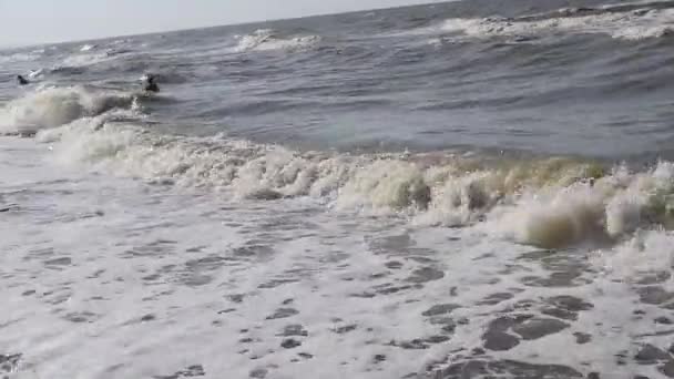 Playa del Mar de Azov. Olas en el mar. Playa al mar — Vídeo de stock