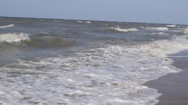 Plage de la mer d'Azov. Vagues sur la mer. Plage à la mer 