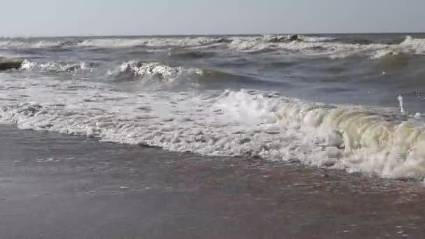 Пляж Азовського моря. Хвилі на морі. Пляж в море — стокове відео