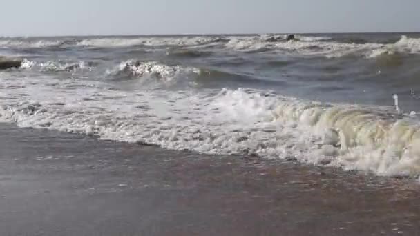 Playa del Mar de Azov. Olas en el mar. Playa al mar — Vídeo de stock