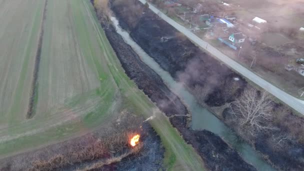 Torrt gräs och vass burning längs kanalen bevattning — Stockvideo