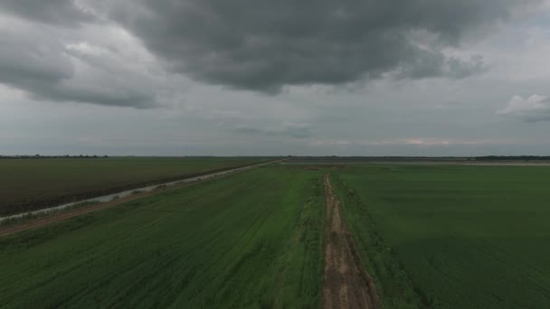 Летаю по грунтовой дороге в поле . — стоковое видео