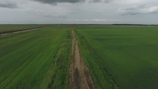 Flying over a dirt road in the field. — Stock Video