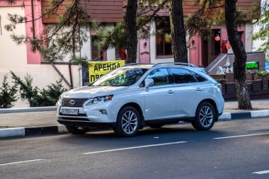 Araba Lexus rx 450h yolun kenarında park etmiş..