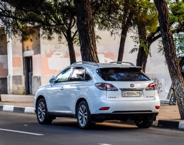 Araba Lexus rx 450h yolun kenarında park etmiş..