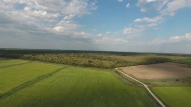 Üstten görünüm bir Krasnyi ormanın. Rezerv ormanda Krasnodar bölgesi, Rusya Federasyonu