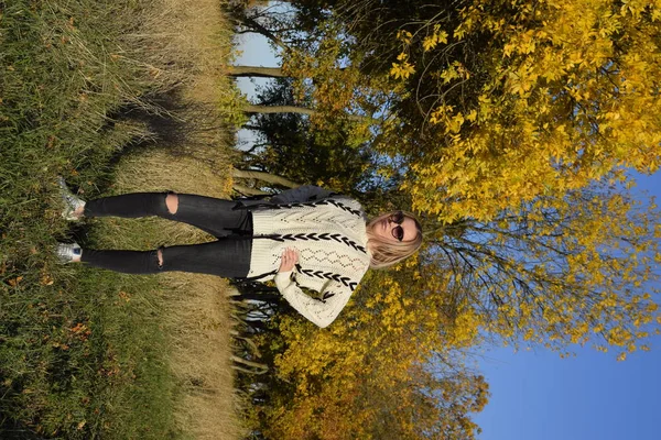 Güneş gözlüklü kız. Kız sarı bir arka plan üzerinde sonbahar ağaçlarının yaprakları. Sonbahar fotoğraf oturumu. — Stok fotoğraf