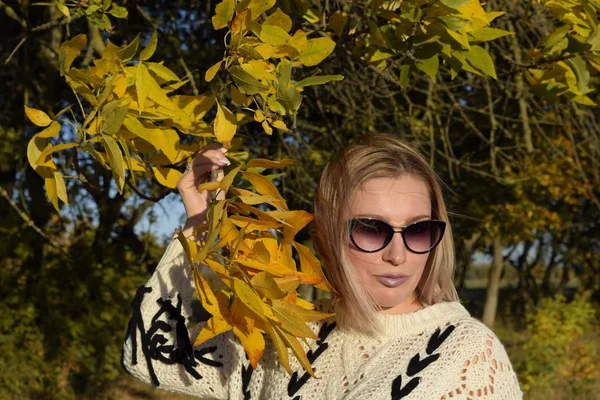 Chica con gafas de sol. Niña sobre un fondo de hojas amarillas de árboles otoñales. Sesión de fotos de otoño . — Foto de Stock