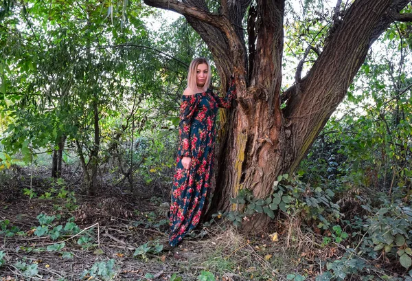 Lady under a big willow tree. Woman in a dress.