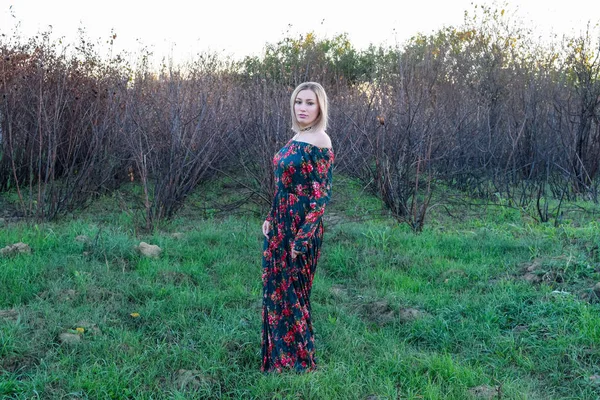 La dama en el fondo de los árboles secos. Mujer en un vestido . — Foto de Stock