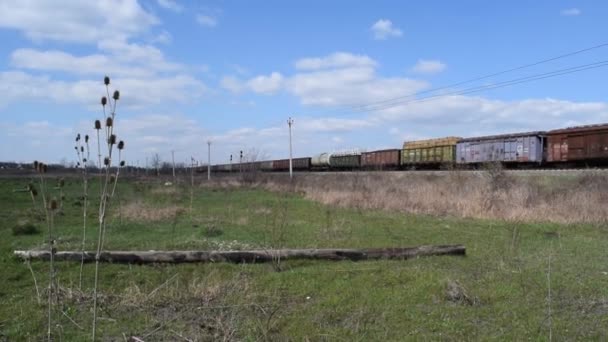 Comboio de carga a caminho de ferro. Glade em frente à ferrovia . — Vídeo de Stock