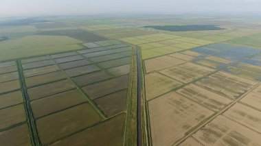 Pirinç su dolu alanlar üzerinde büyüyen. Olgun pirinç alanında, hasat başlangıcı. Kuş bakışı. Sular altında pirinç paddies. Alanları pirinç büyüyen Agronomik yöntemleri. Ekili hangi pirinç suda alanlarla sel.