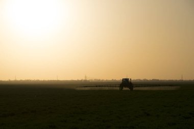 Yüksek tekerlekli traktör genç buğdayda gübre yapıyor. Etrafa saçılmış sprey kimyasalların kullanımı. Günbatımı arka planında traktör.