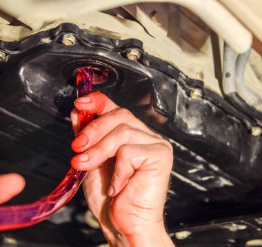 Otomatik şanzıman yağ değişimi. Hortum aracılığıyla petrol dolum. Araba bakım istasyonu. Kırmızı dişli yağı. Araba tamircisi yağı eller.