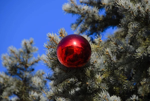 新年のツリーを装飾。見掛け倒しとおもちゃ、ボール、戸外でクリスマス ツリー立って他の装飾. — ストック写真