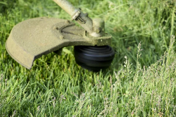 Pemangkas aplikasi. Memotong rumput hijau menggunakan trimmer pancing — Stok Foto