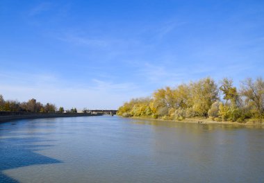 Sonbahar manzara. Nehir banka sonbahar ağaçları ile. B kavak