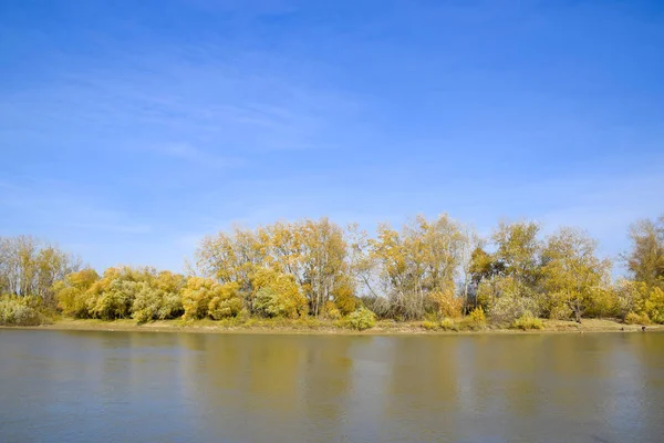Jesienny krajobraz. Brzegu rzeki z jesiennych drzew. Topoli na b — Zdjęcie stockowe