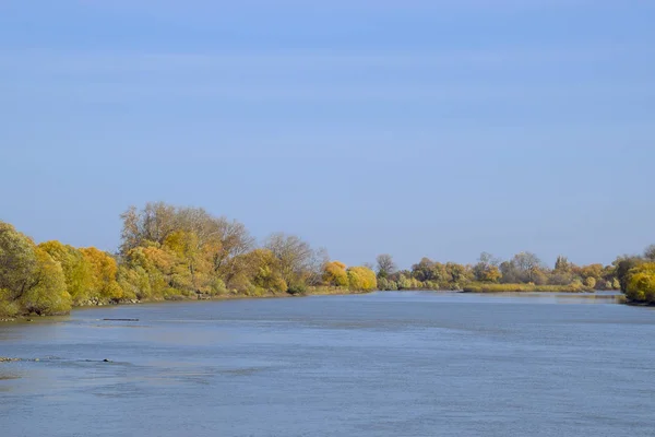 秋の風景です。秋の木々 と川の土手。B にポプラ — ストック写真