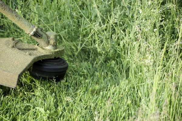 Pemangkas aplikasi. Memotong rumput hijau menggunakan trimmer pancing — Stok Foto