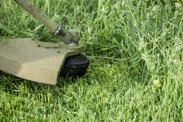 Toepassing grastrimmers. Maaien van gras met behulp van een visserij-lijn-trimmer — Stockfoto