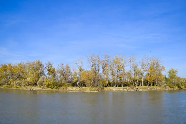 Paesaggio d'autunno. riva del fiume con alberi autunnali. Pioppi sulla b — Foto Stock