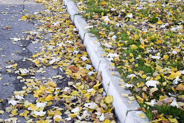 Passeio fronteiriço repleto de folhas secas — Fotografia de Stock