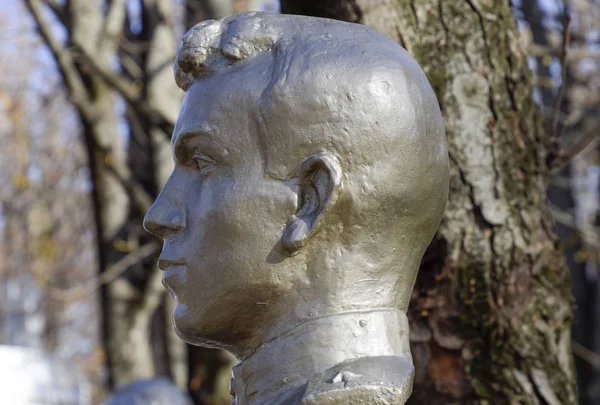El rostro del hombre de piedra. Concreto busto soldado cubierto con pa —  Fotos de Stock