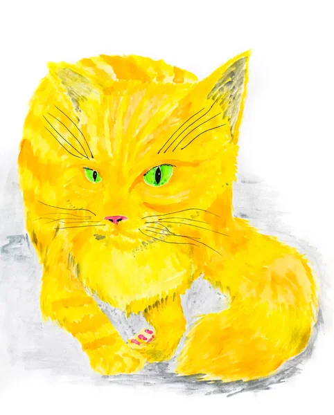 Red cat painted with watercolor on paper
