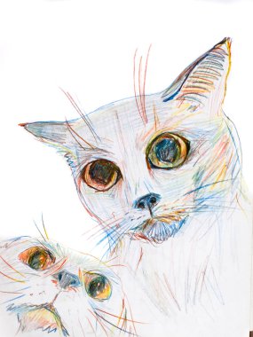 Renkli kalemler ile şekil cats. İki kedi içinde belgili tanımlık resim. Renkli kalemler çizim.