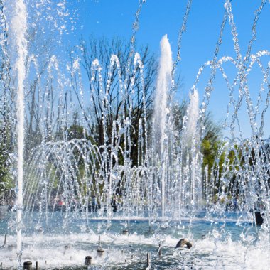 Krasnodar, Rusya - 1 Mayıs 2017: Şehir çeşme Krasnodar şehir. İnsanlar çeşmenin yürüyor. Su sıçraması.