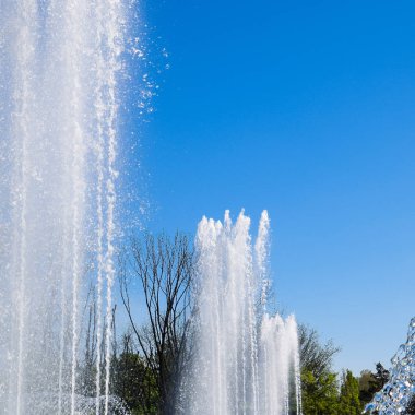 Krasnodar, Rusya - 1 Mayıs 2017: Şehir çeşme Krasnodar şehir. İnsanlar çeşmenin yürüyor. Su sıçraması.