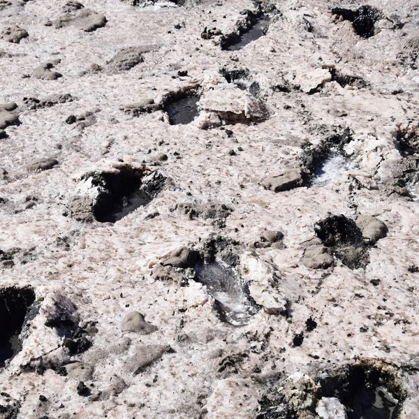 Traces of human feet in the salt lake of mud. The surface of the salt lake.