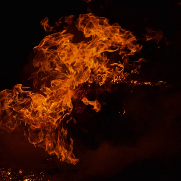 Natt Eld Bränning Ris Halm Natten — Stockfoto