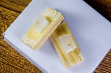 Parafin blok ile kanser örnekleri, tümör histolojik muayene için örnekler. Derin araştırma kanser hücrelerinin tümör parçaları.